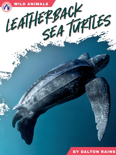 Cover image for book Leatherback Sea Turtles