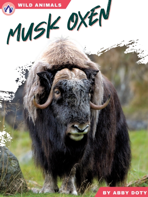 Cover image for book Musk Oxen