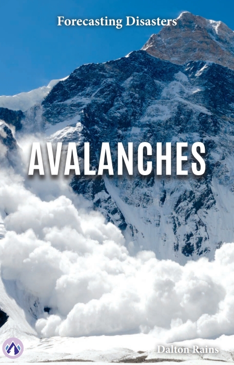 Cover image for book Avalanches