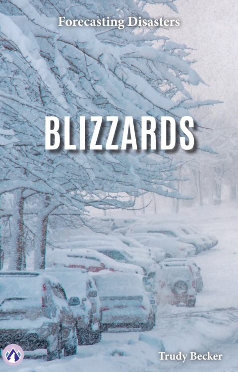 Cover image for book Blizzards