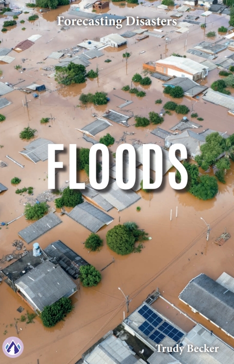 Cover image for book Floods