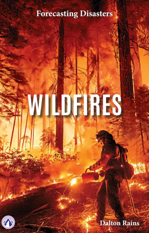 Cover image for book Wildfires