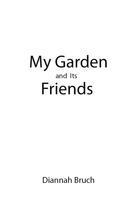 Cover image for book My Garden and Its Friends