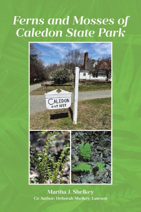 Cover image for book Ferns and Mosses of Caledon State Park
