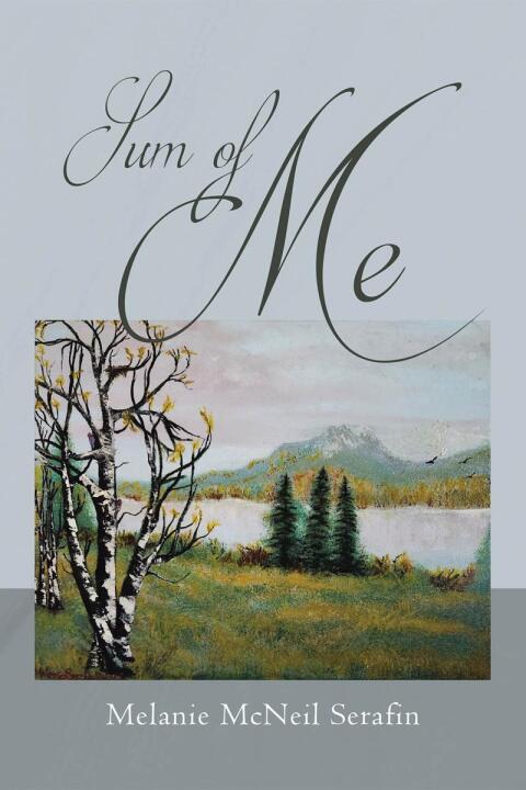 Cover image for book Sum of Me