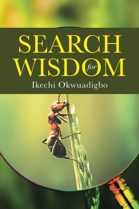 Cover image for book Search for Wisdom