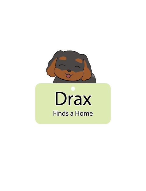 Cover image for book Drax Finds A Home