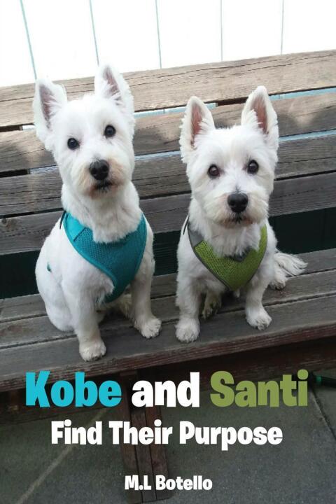 Cover image for book Kobe and Santi Find Their Purpose