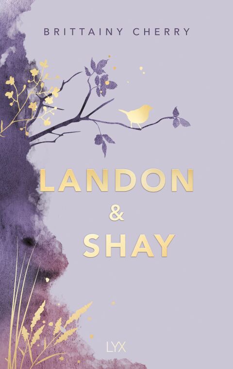 Cover image for book Landon & Shay
