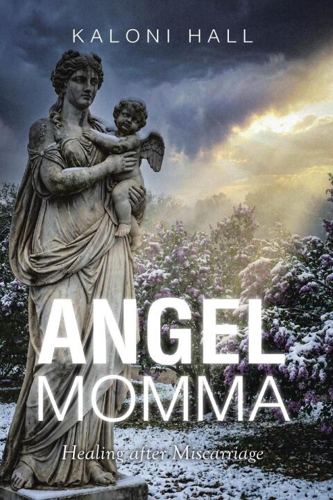 Cover image for book Angel Momma