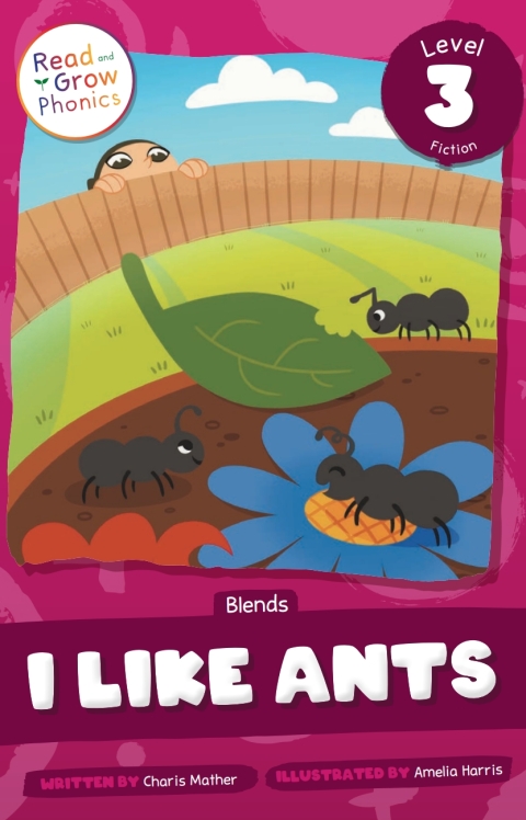 Cover image for book The Band