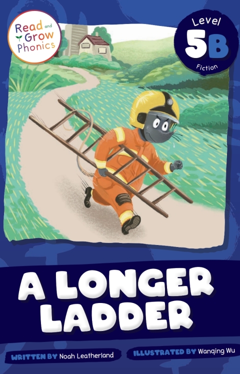Cover image for book A Longer Ladder