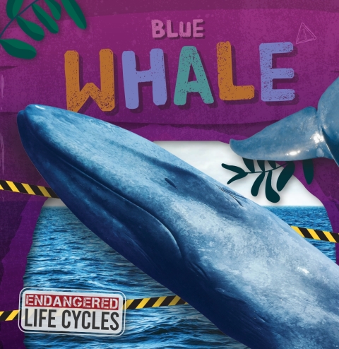 Cover image for book Blue Whale