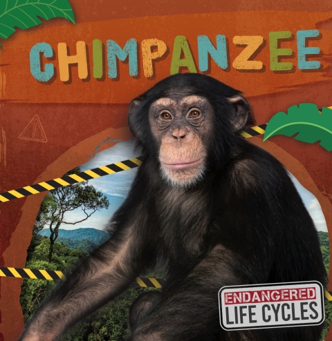 Cover image for book Chimpanzee