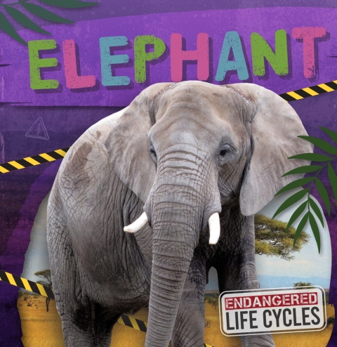 Cover image for book Elephant