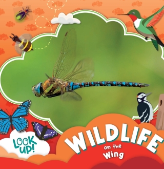 Wildlife on the Wing