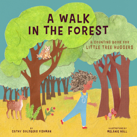 Cover image for book A Walk in the Forest