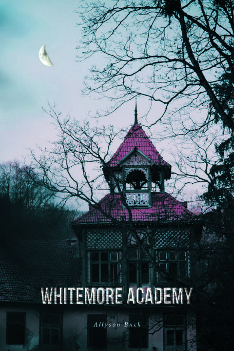 Cover image for book Whitemore Academy