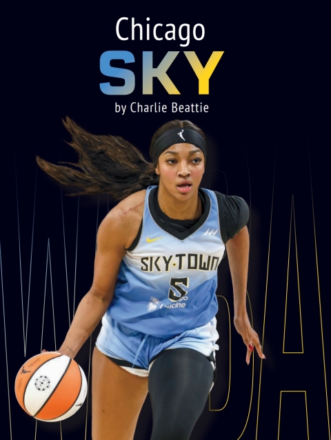 Cover image for book Chicago Sky
