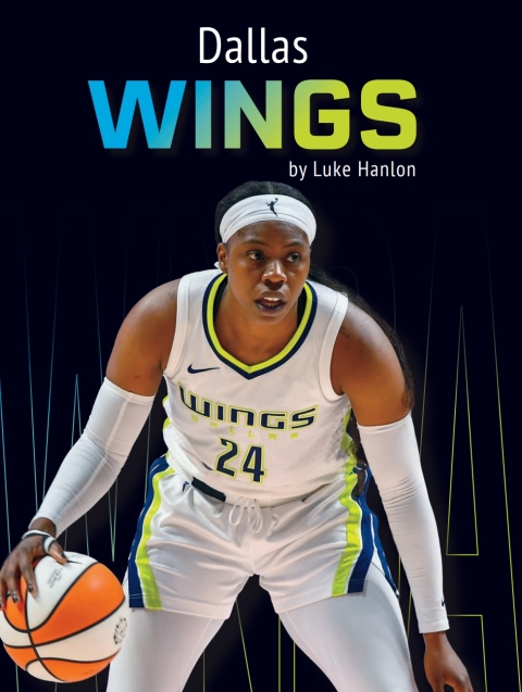Cover image for book Dallas Wings