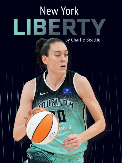 Cover image for book New York Liberty