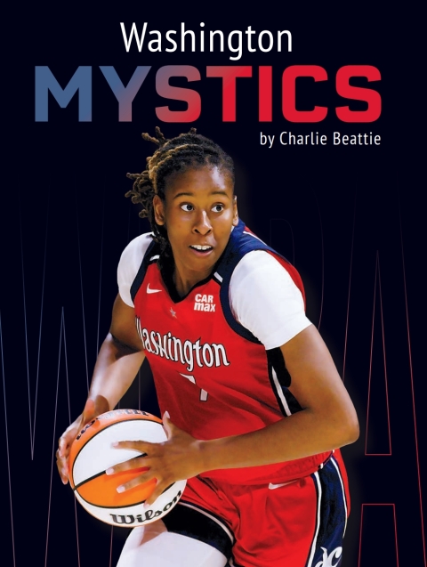 Cover image for book Washington Mystics