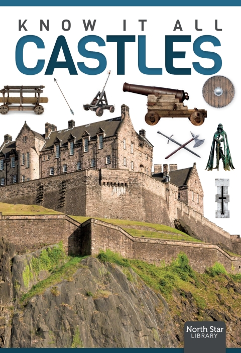 Cover image for book Castles