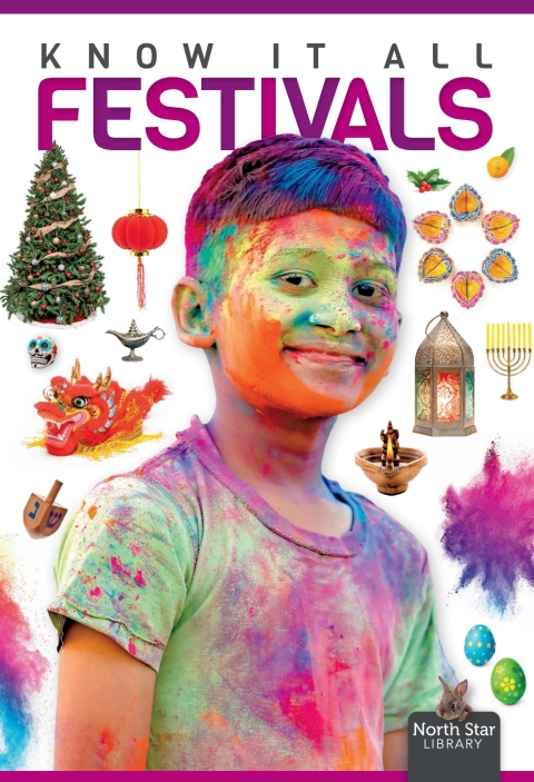 Cover image for book Festivals