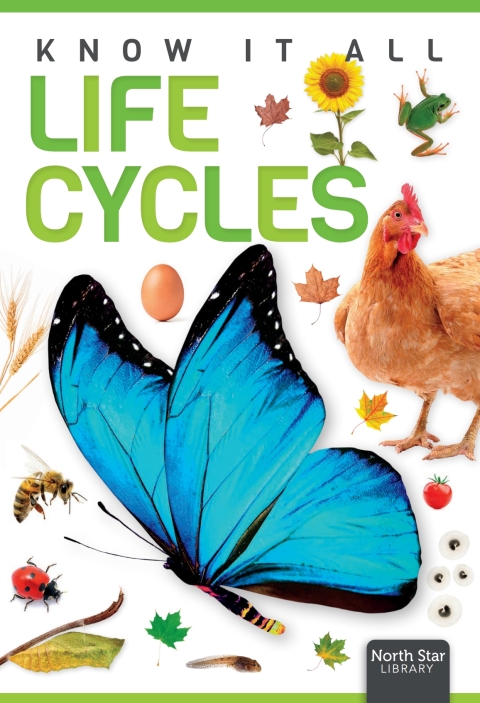 Cover image for book Life Cycles
