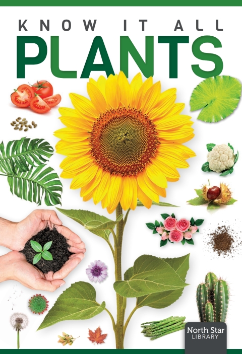 Cover image for book Plants