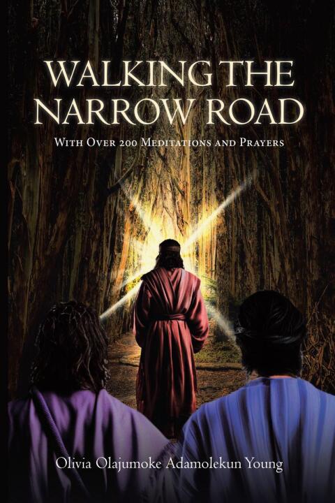 Cover image for book Walking the Narrow Road