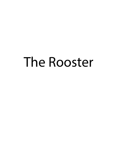 Cover image for book The Rooster
