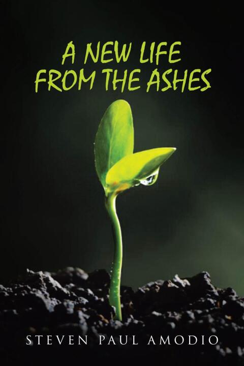 Cover image for book A New Life From The Ashes