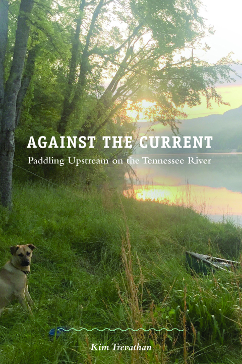 Cover image for book Against the Current