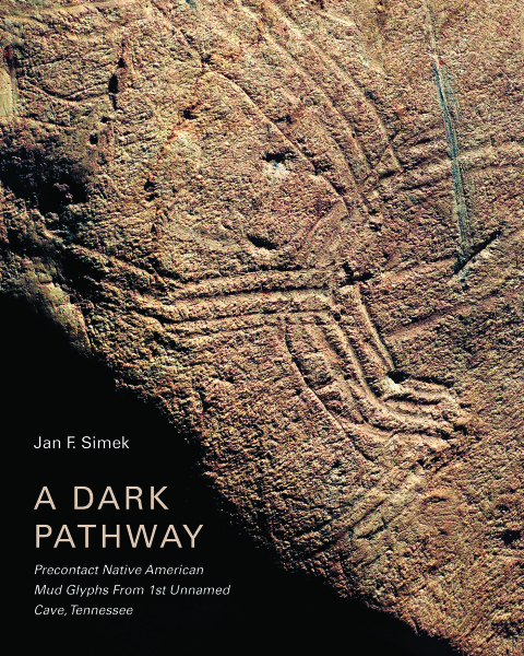 Cover image for book A Dark Pathway