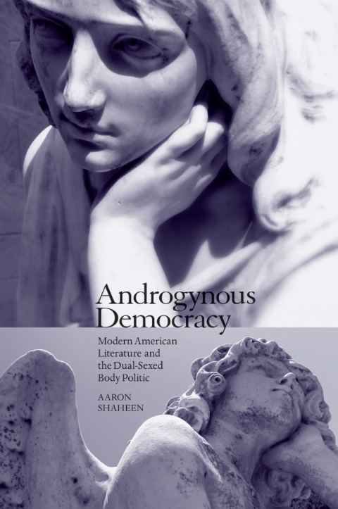 Cover image for book Androgynous Democracy