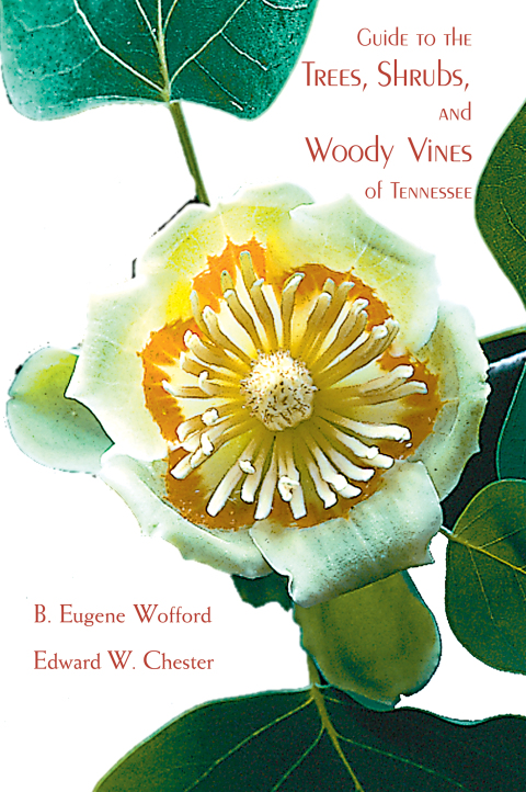 Cover image for book Guide to the Trees, Shrubs, and Woody Vines of Tennessee