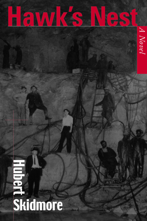 Cover image for book Hawk's Nest