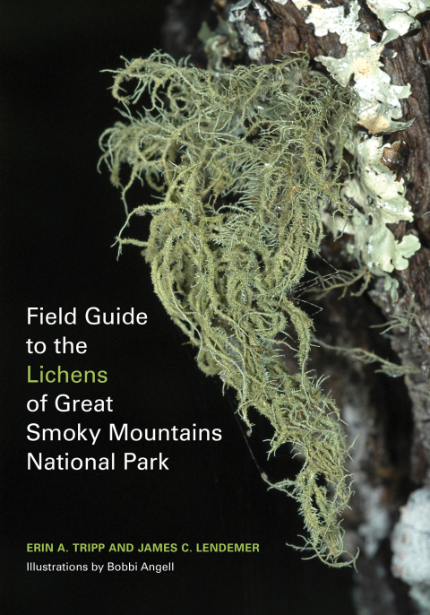 Cover image for book Field Guide to the Lichens of Great Smoky Mountains National Park