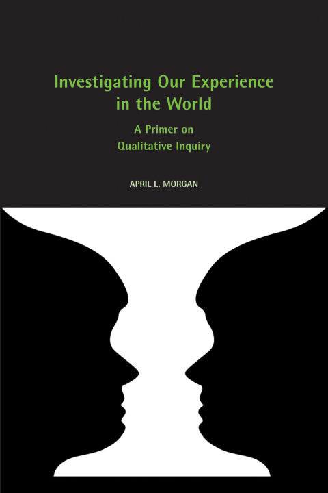 Cover image for book Investigating Our Experience in the World