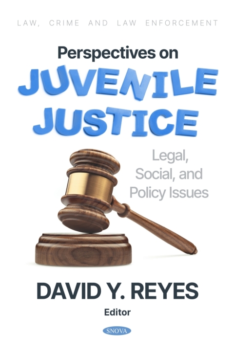 Cover image for book Perspectives on Juvenile Justice: Legal, Social, and Policy Issues