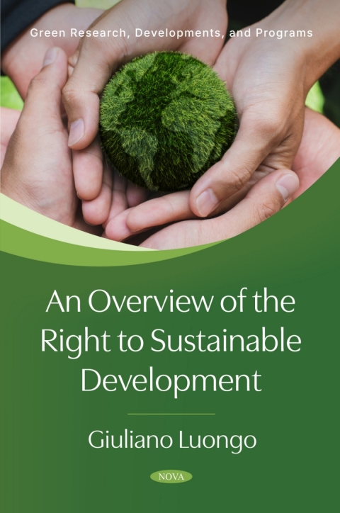Cover image for book An Overview of the Right to Sustainable Development