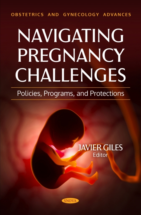 Cover image for book Navigating Pregnancy Challenges: Policies, Programs, and Protections
