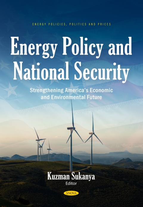 Cover image for book Energy Policy and National Security: Strengthening America’s Economic and Environmental Future