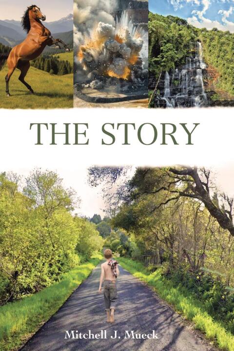 Cover image for book The Story