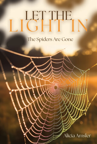 Let the Light In