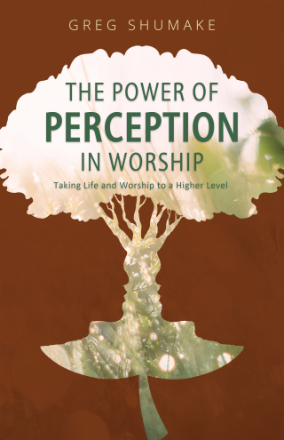 The Power of Perception