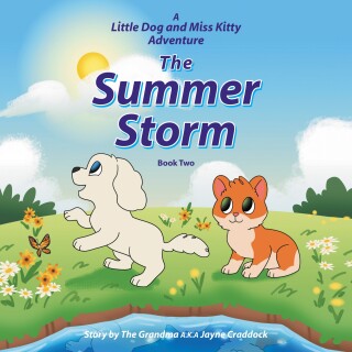 The Summer Storm