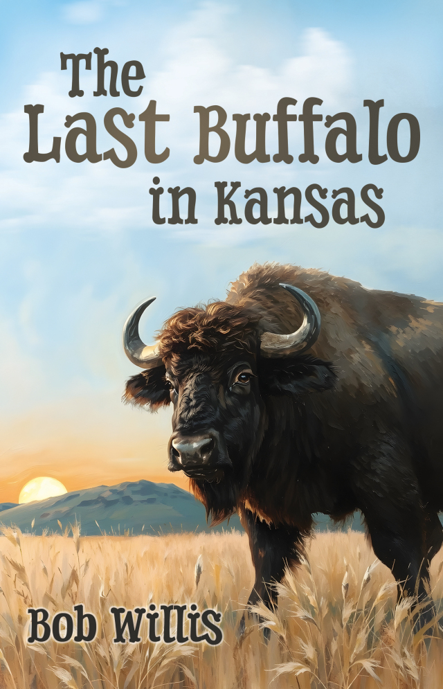 The Last Buffalo in Kansas