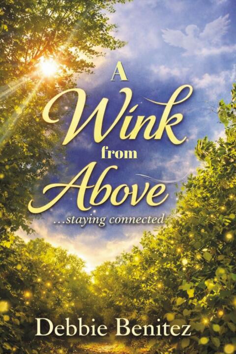 Cover image for book A Wink from Above